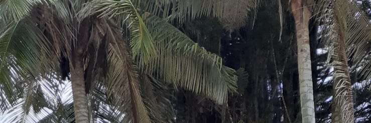 derianjamir's profile banner image