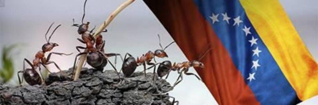 jvramirez1963's profile banner image