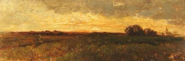 anawilding Profile Banner