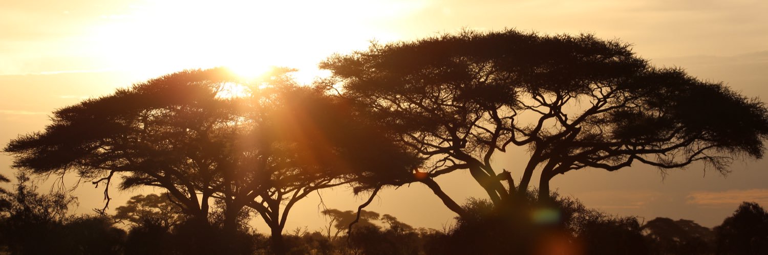 💚  D3f0 🧡 banner