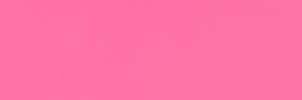 pinkylovespercs Profile Banner