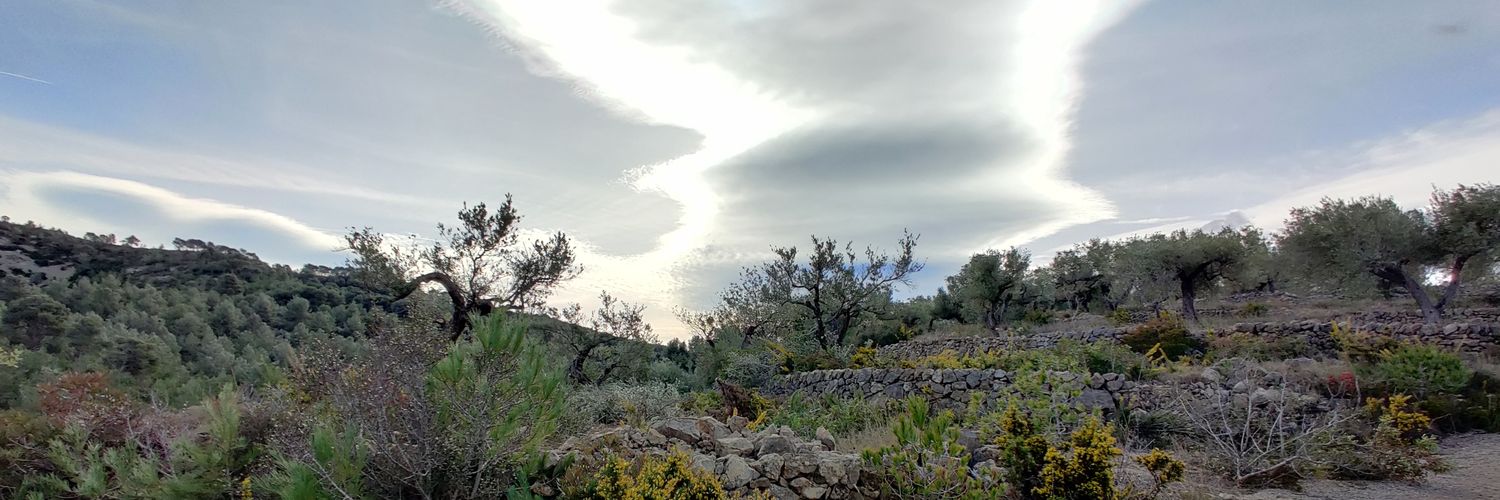 narcispm's profile banner image