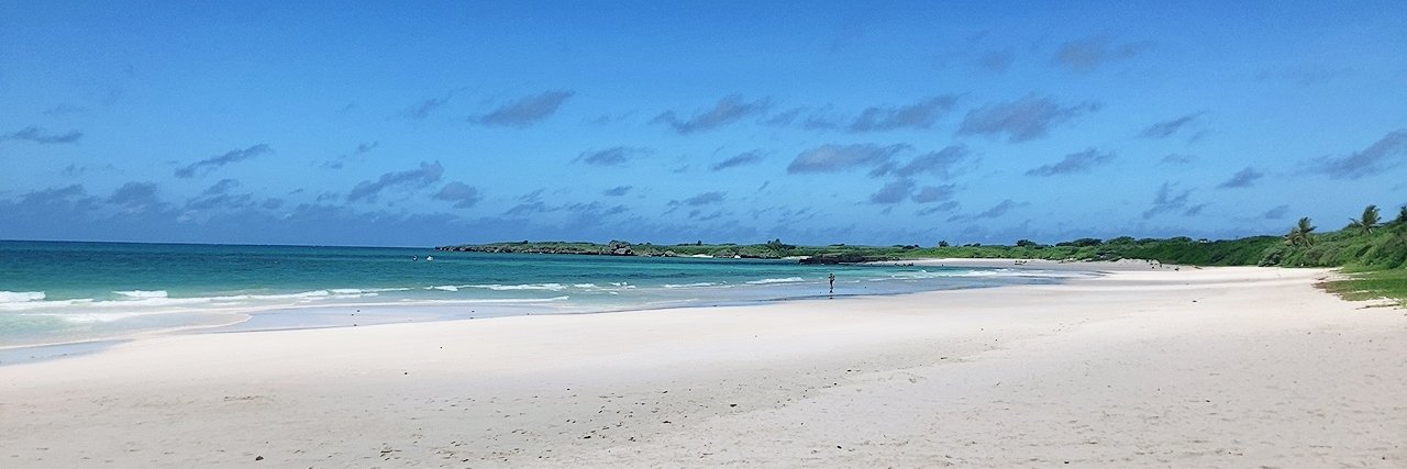 てっちゃん banner