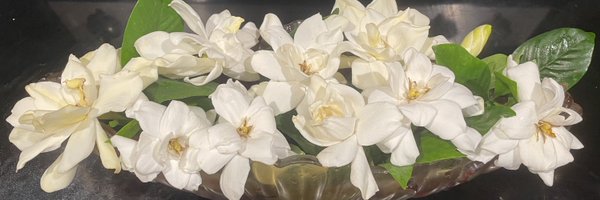 kudzuinga Profile Banner