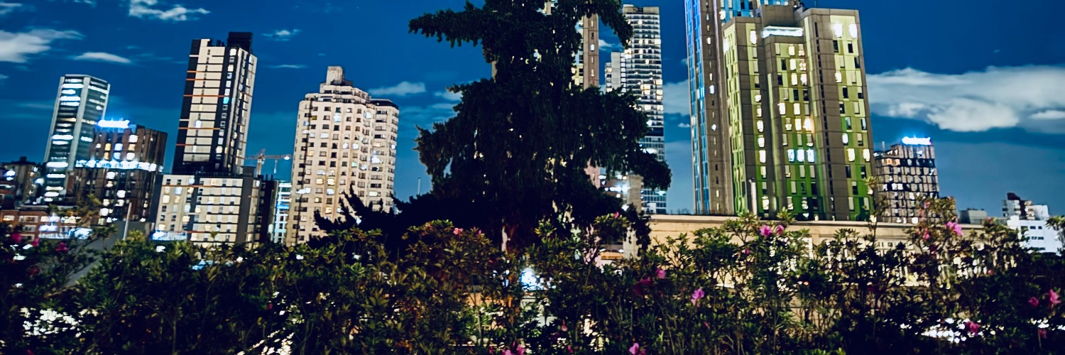 Mónica Pachón banner