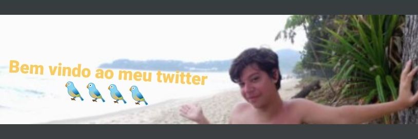 LHCerquiari's profile banner image