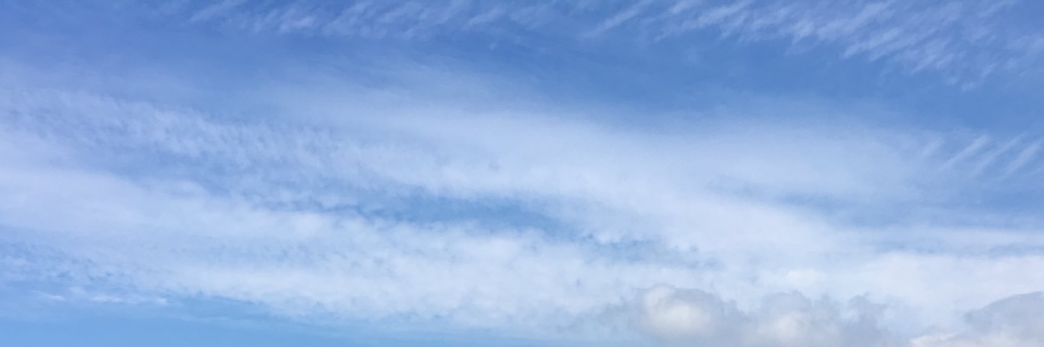 negrasandra12's profile banner image