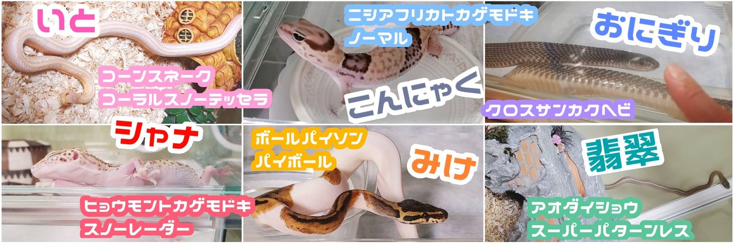 for_itochans's profile banner image