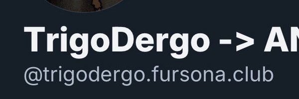 TrigoDergo Profile Banner