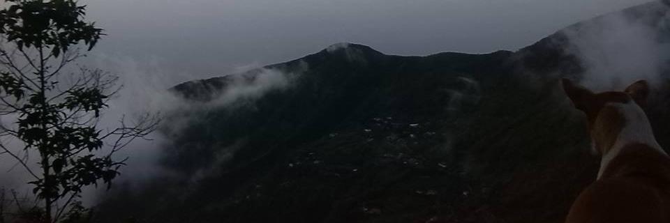 marinel0104's profile banner image