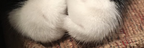_Claire_A Profile Banner