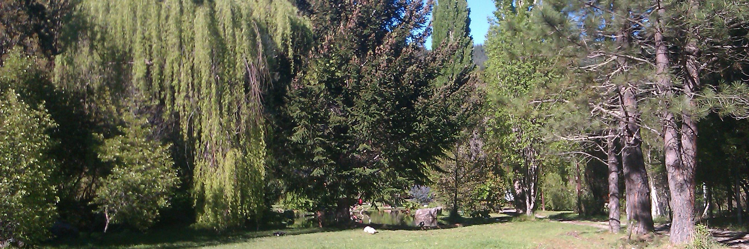 Yolanda Blasco banner