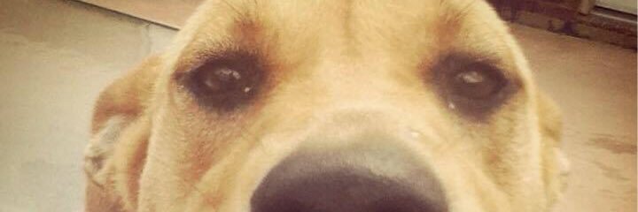 Who_IsJohnG's profile banner image