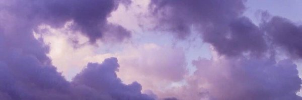 baileystarpup Profile Banner