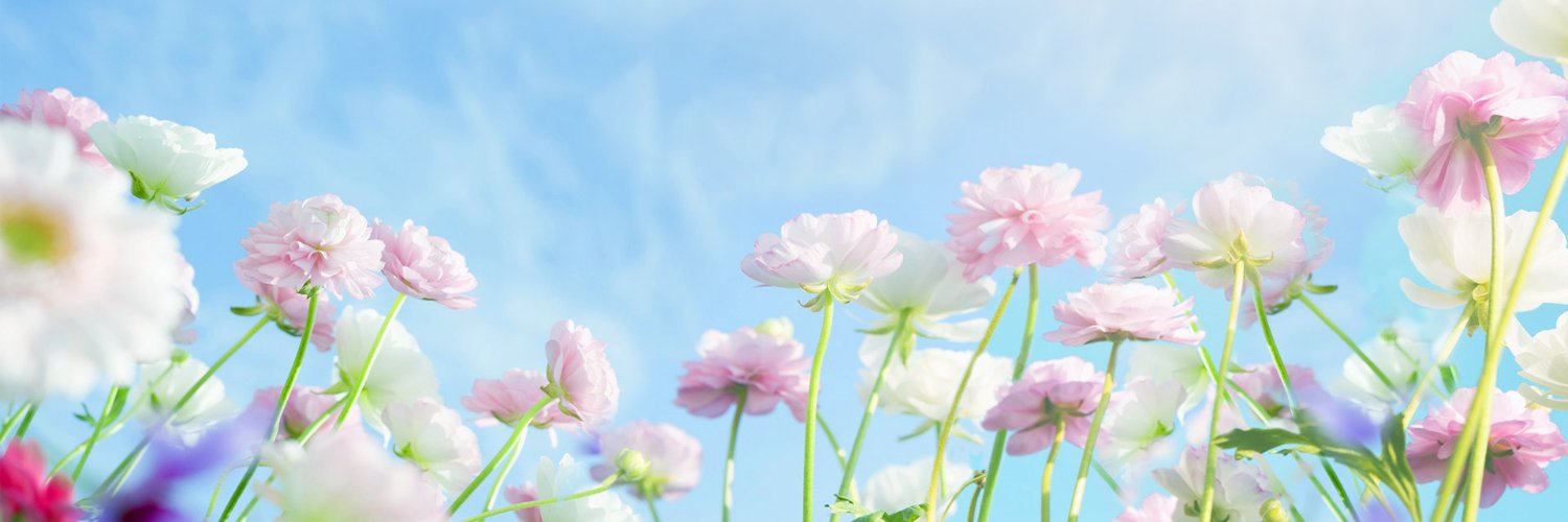 Rai| ETHGas ⛽ banner