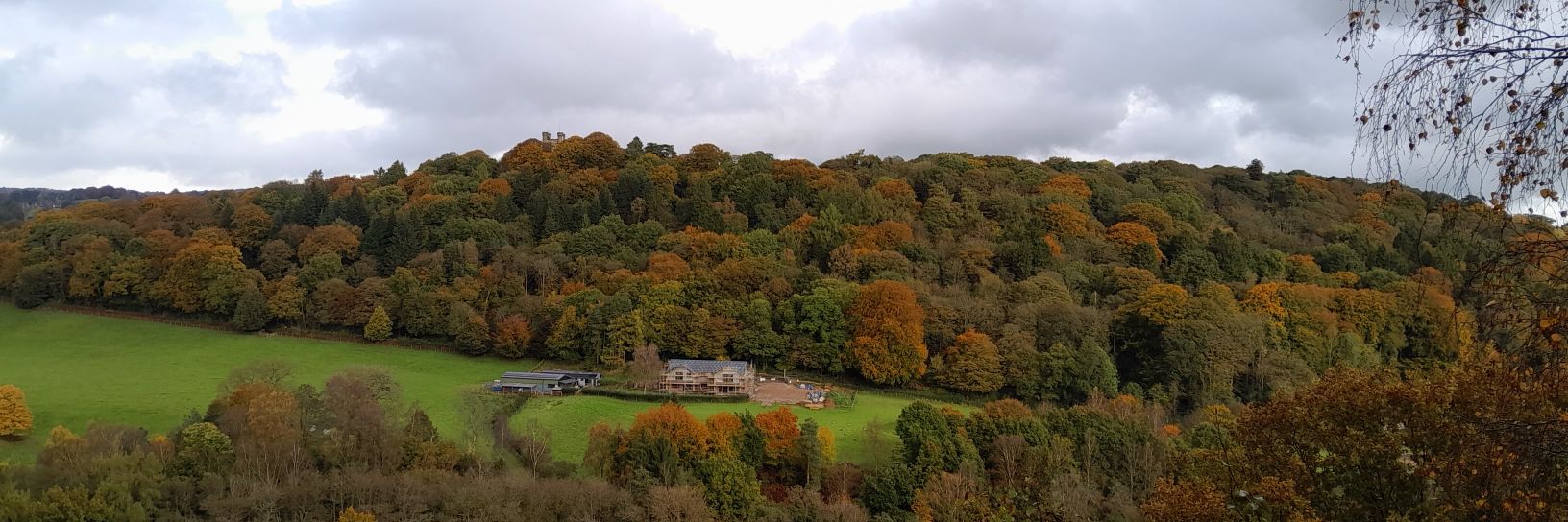 Lisa Marie Hawley 🪡🧵🎧 banner