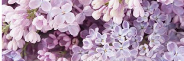 claauramirez's profile banner image