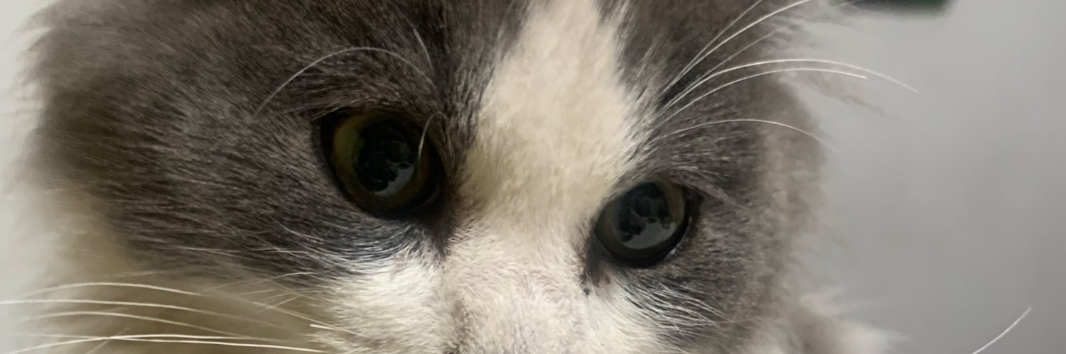 Julizu1's profile banner image