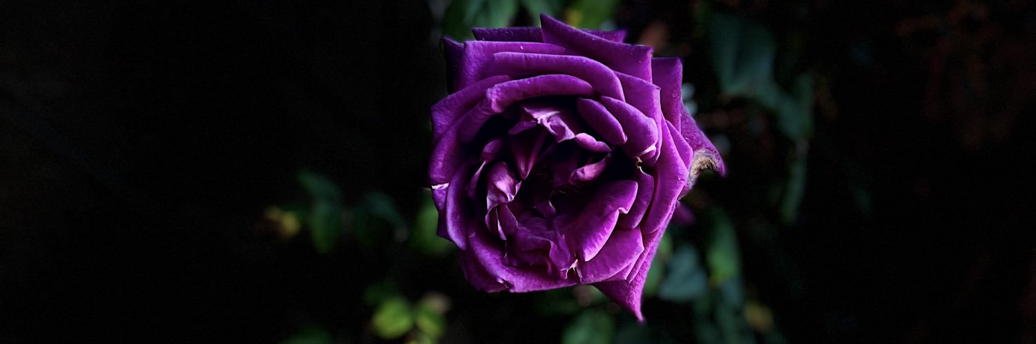 BlaiseW13's profile banner image