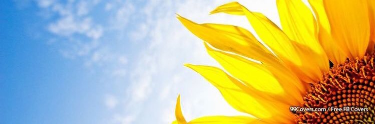 RocioLH's profile banner image