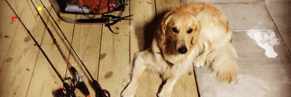 JeffTodd Profile Banner
