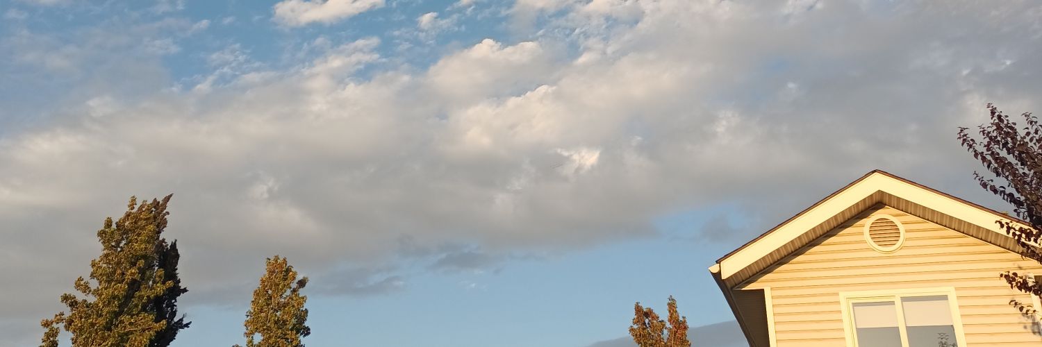 polysantander's profile banner image
