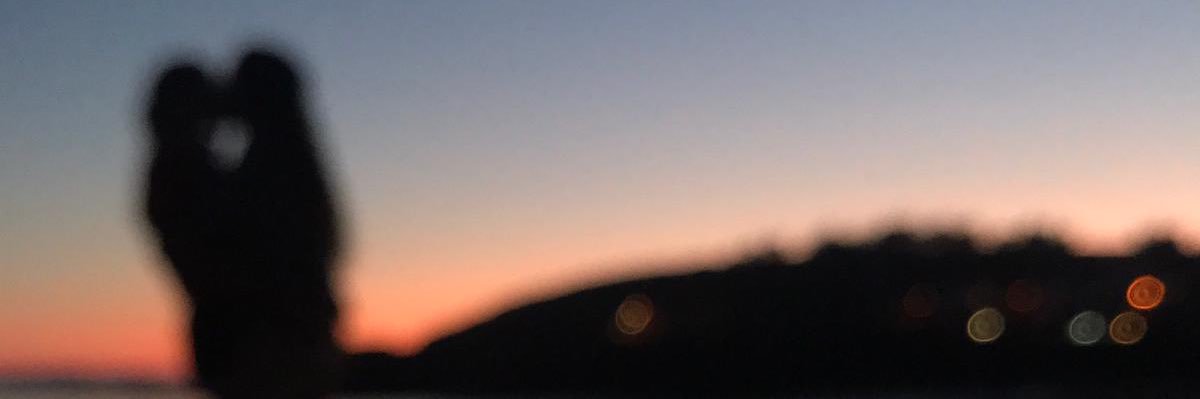 luciachazo's profile banner image