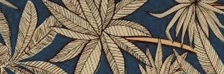 Lipemag's profile banner image