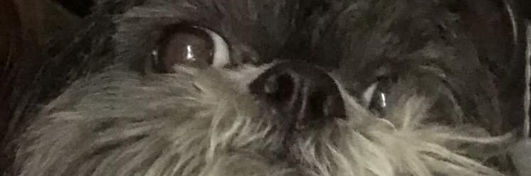 MandyyMills's profile banner image