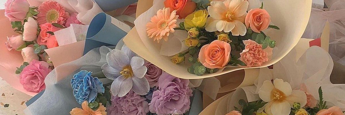 Ale_4198's profile banner image