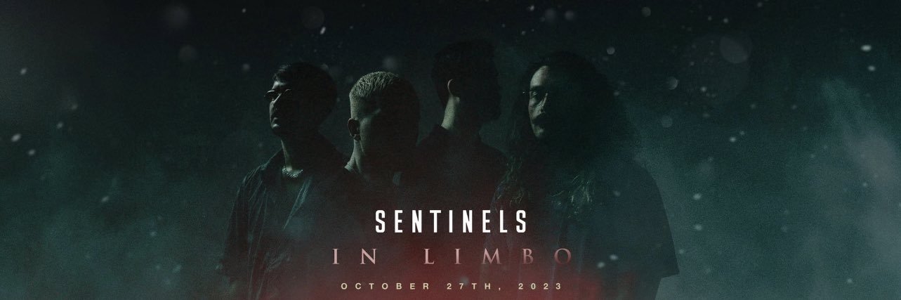 Sentinels banner