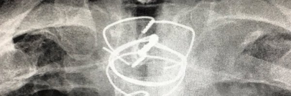 jimonlight Profile Banner