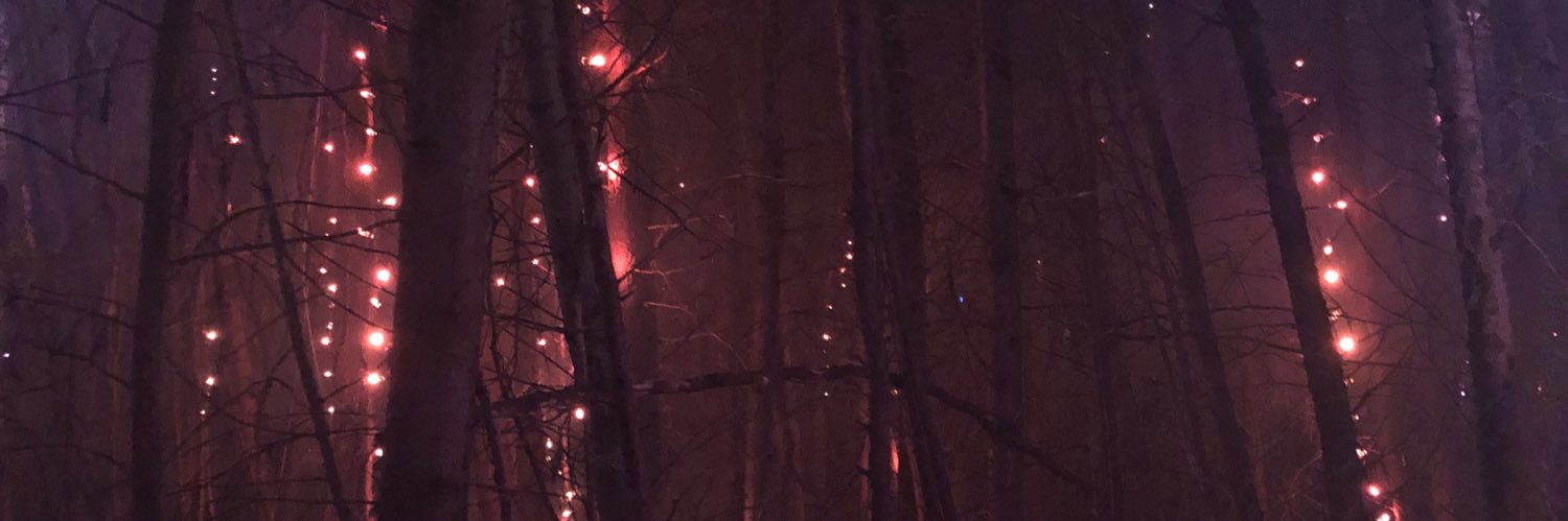 BrendaCopat's profile banner image