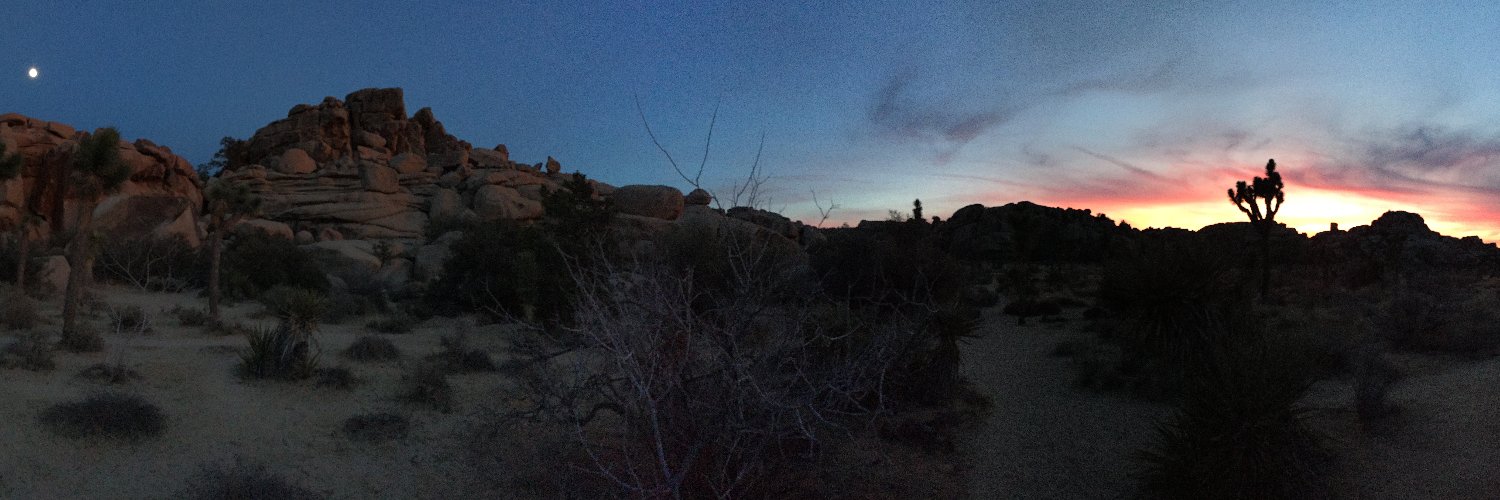 Greer Gosnell banner