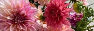 andreamatthews's profile banner image
