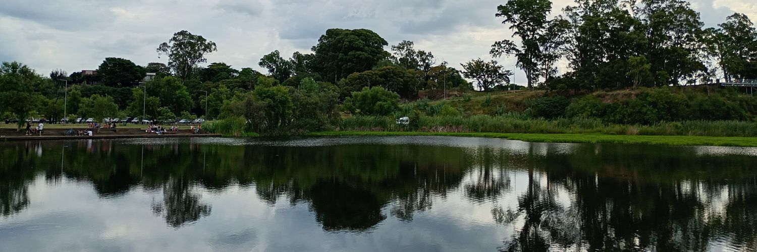 𝓐𝓵𝓮 ㋡ banner