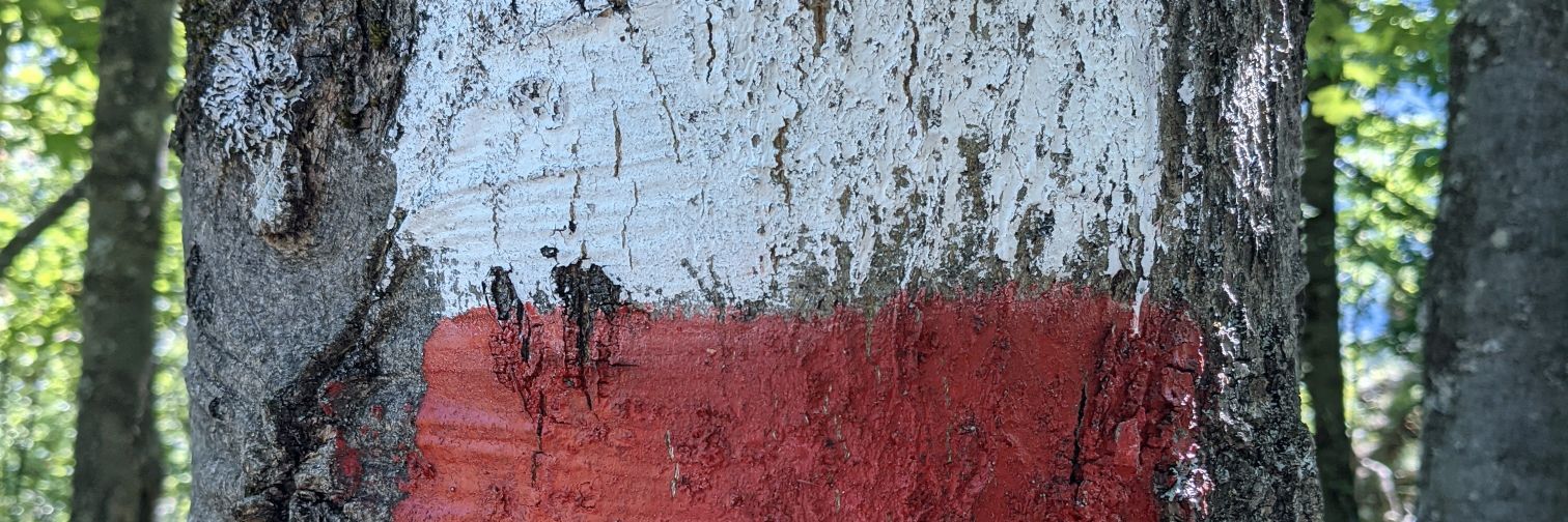 fvercellino's profile banner image
