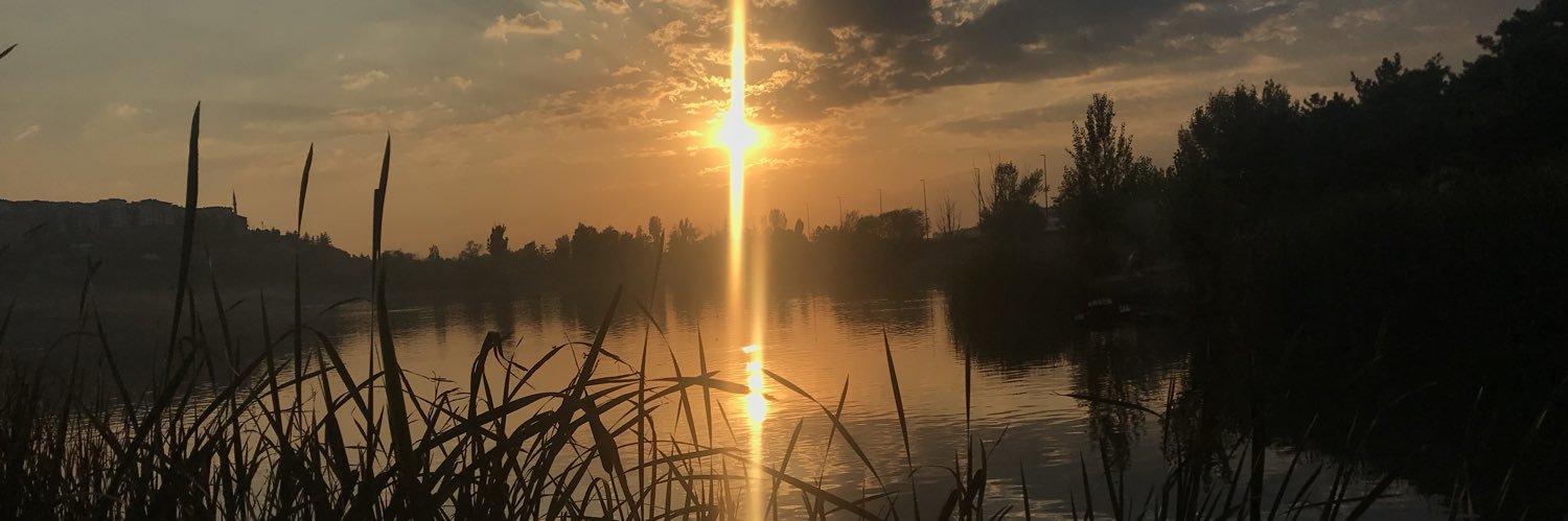 FTHokumus's profile banner image