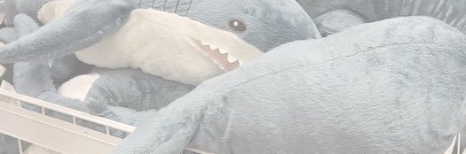 WNgatotoi's profile banner image