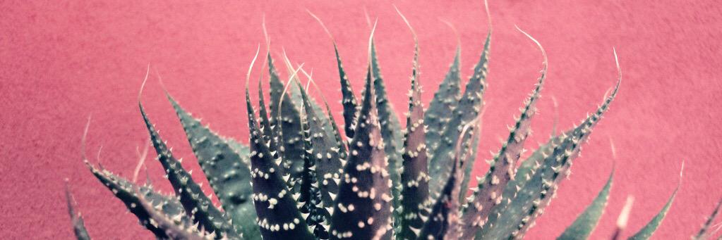 aminatou's profile banner image