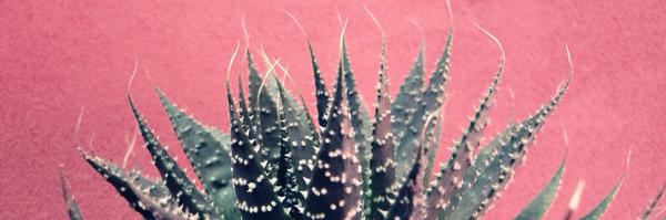 aminatou Profile Banner