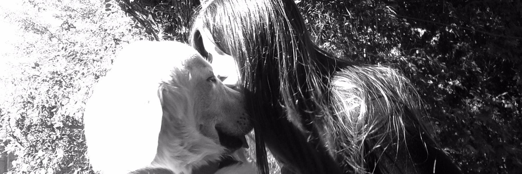 fiamartinez's profile banner image