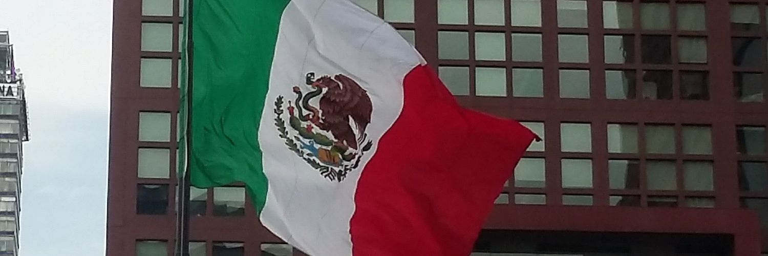 federicobass's profile banner image