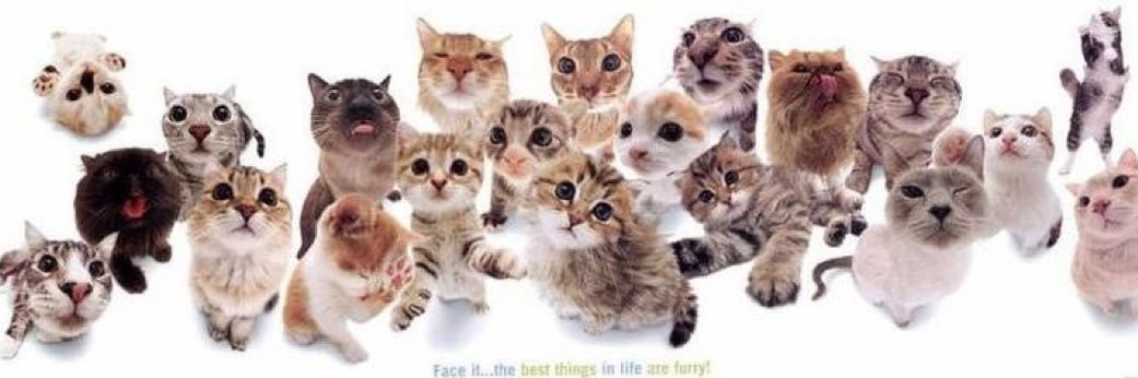 ARCHIVE ζξ⊗l _⊗(| banner