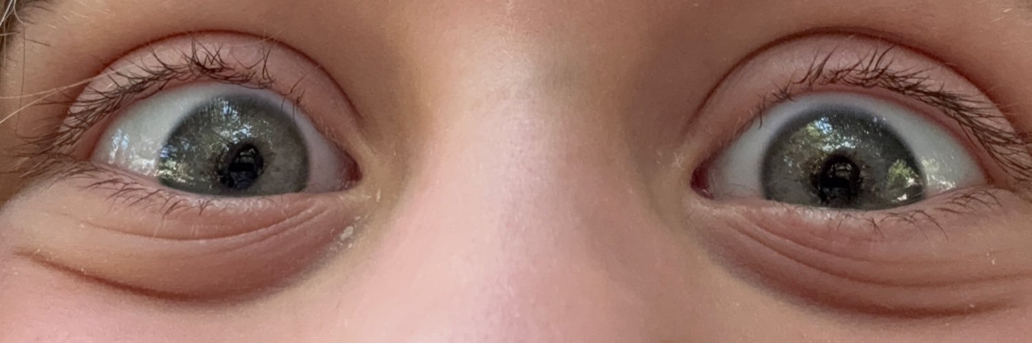 doc, knower of ball banner