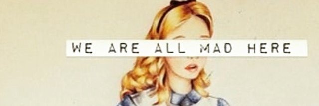 *Cindy N* 🤔✨ banner