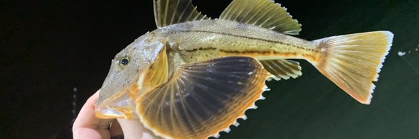 deadprogrammer Profile Banner