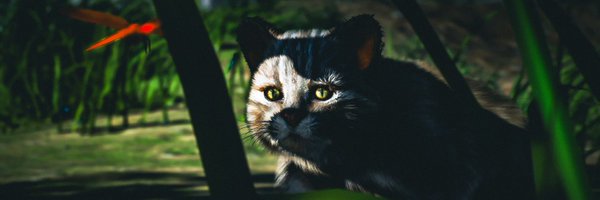 DragonballevoVP Profile Banner