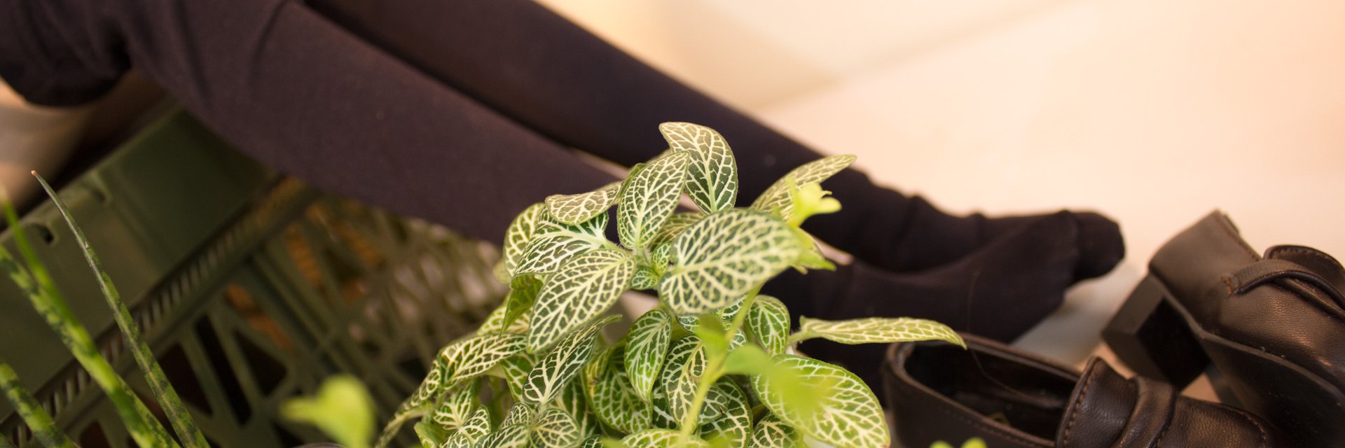 東風谷さずりん banner