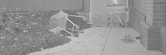 Polly Polygraph banner